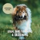 Ein verspielter Hund auf einer grasbewachsenen Fläche, mit Textüberlagerung, die besagt: "IDEAL FÜR TRAINING & ERZIEHUNG" und "APPORTIEREN MIT SPASS."