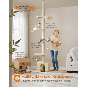 Eine Frau steht neben einem mehrstöckigen Katzenbaum mit drei Katzen: Betsy (2 kg), Juno (3 kg) und Olivia (4,5 kg).