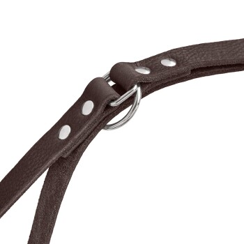 Nahaufnahme eines braunen Lederhalsbands für Haustiere mit silbernen Nieten und einem Metall-D-Ring zur Leinenbefestigung.