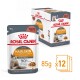 Royal Canin Hair & Skin kattenvoer, 85g zak, 12-pack. Ondersteunt een gezonde huid en glanzende vacht, met 90% eigenaarstevredenheid.