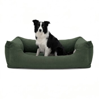 Grünes rechteckiges Haustierbett mit erhöhten Kanten, mit einem strukturierten Stoff und einem kleinen Etikett mit der Aufschrift 'RAW.'