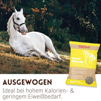 Weißes Pferd liegt auf Gras neben einer gelben Tüte Supravit Maiscobs Pferdefutter mit deutschem Text.