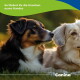 Zwei Hunde (schwarz-braun und creme) ruhen; deutscher Text „So fördert ihr die Knochen eures Hundes“ und Canina-Logo.