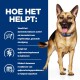 Een gezonde hond op een blauwe achtergrond benadrukt een huisdierproduct dat de darmgezondheid ondersteunt en de spijsvertering kalmeert.