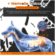 Illustration eines Hundes mit hervorgehobenem Verdauungssystem, mit Text über Präbiotika (MOS & Beta-Glucane) zur Unterstützung des Darms.
