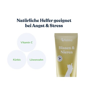 Felmo 'Blasen & Nieren'-Tube mit Katzenmotiv, Inhaltsstoffen Vitamin C, Kürbis, Löwenzahn; deutsche Überschrift zu Angst und Stress.