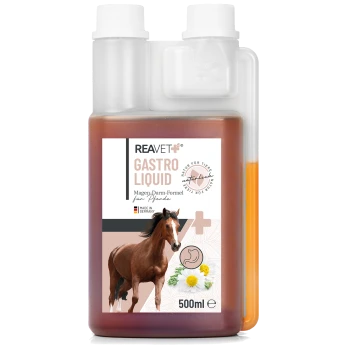 Flasche REAVET Gastro Liquid für Pferde, 500ml, mit einer Grafik eines braunen Pferdes, Kamillenblüten und Text in deutscher Sprache.