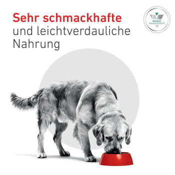 Hund frisst aus einer roten Schüssel; deutscher Text 'Sehr schmackhafte und leichtverdauliche Nahrung' und ein 'Gewichtsmanagement'-Abzeichen.