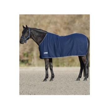 Ein schwarzes Pferd, das eine marineblaue Decke trägt, steht auf einer sandigen Fläche und zeigt sein glattes Fell und eine Halfter mit einer blauen Leine.