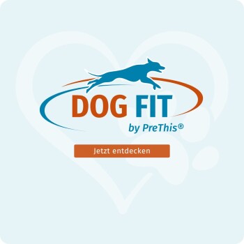 Springendes Hundelogo mit Schriftzug 'DOG FIT by PreThis®' und orangefarbenem Button 'Jetzt entdecken' vor hellem Herzhintergrund