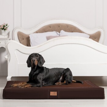 Ein schwarz-brauner Dobermann ruht auf einem braunen Hundebett in einem stilvollen Raum mit einem weißen gepolsterten Bett und einer kleinen Blumenvase.