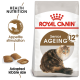 Royal Canin Senior Ageing 12+ cat food bag featuring a fluffy cat illustration, with text highlighting "Health Nutrition" and "Appetite stimulation."