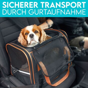 Ein Cavalier King Charles Spaniel sitzt in einer schwarzen Tragetasche für Haustiere, gesichert im Autositz mit einem Sicherheitsgurt. Text oben lautet 'Sicherer Transport mit Sicherheitsgurt.'