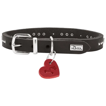 Schwarzes Lederhalsband für Hunde mit silbernen Nieten und Schnalle, Metallanhänger mit der Aufschrift 'HUNTER' und hängendem roten Herzanhänger mit Hundemotiv.