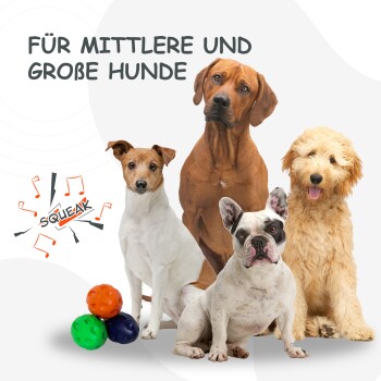 Bild von vier Hunden verschiedener Rassen, mit bunten Quietscherbällen davor. Der Text lautet "FÜR MITTLERE UND GROßE HUNDE."