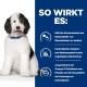 Ein flauschiger schwarz-weißer Hund sitzt vor einem blauen Hintergrund mit Text über Vorteile für die Harnwegsgesundheit, einschließlich Omega-3-Fettsäuren und kontrollierten Mineralien.
