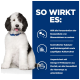 Ein flauschiger schwarz-weißer Hund sitzt vor einem blauen Hintergrund mit Text über Vorteile für die Harnwegsgesundheit, einschließlich Omega-3-Fettsäuren und kontrollierten Mineralien.