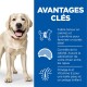 Science Plan Light Adult Large Breed avec du poulet 2x14 kg