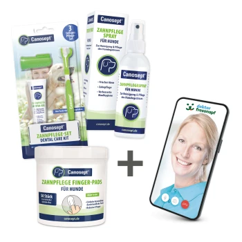 Canosept Zahnpflegeprodukte für Hunde, einschließlich eines Zahnpflegesets, Spray und Fingerpads, mit einem Smartphone, das einen Videoanruf anzeigt.