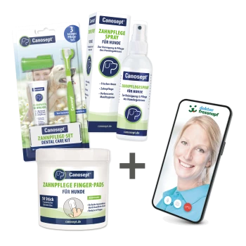 Canosept Zahnpflegeprodukte für Hunde, einschließlich eines Zahnpflegesets, Spray und Fingerpads, mit einem Smartphone, das einen Videoanruf anzeigt.