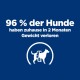 96 % der Hunde haben zuhause in 2 Monaten Gewicht verloren, illustriert mit einer Hundesilhouette und einem Maßband auf einem blauen Hintergrund.