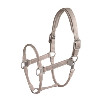 Lederhalfter Double Pin Classic Sports