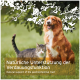 Ein brauner Hund und eine graue getigerte Katze auf grünem Gras mit Textüberlagerung: "Natürliche Unterstützung des Magen-Darm-Trakts."
