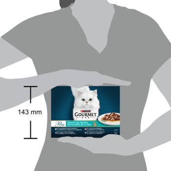 Eine Person hält eine Schachtel Purina Gourmet Katzenfutter mit einer flauschigen weißen Katze auf der Vorderseite, mit französischem Text über Meeresfrüchtegeschmack.