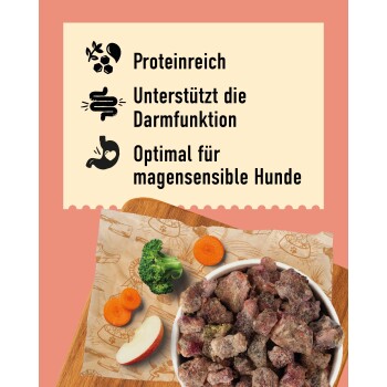 Ein Hundenapf gefüllt mit einer Mischung aus Fleisch, Gemüse und Obst, beschriftet mit "DIBO" und dem Slogan "Für die Besten das Beste."