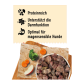 Ein Hundenapf gefüllt mit einer Mischung aus Fleisch, Gemüse und Obst, beschriftet mit "DIBO" und dem Slogan "Für die Besten das Beste."