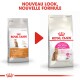 Comparaison de deux emballages de nourriture pour chats Royal Canin : à gauche "Exigent 42," à droite "Feline Preference PROTEIN Exigent," avec "NOUVEAU LOOK."