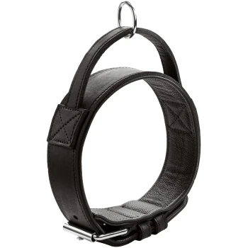 Schwarzes Leder-Haustierhalsband mit einem silbernen Metallring und verstellbarem Schnallenverschluss, das ein schlankes und modernes Design zeigt.
