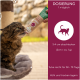 Eine flauschige braune Katze, die aus einer Tube "Katzen Malt Paste" mit der Aufschrift "Natürliche Anti-Haarballen" leckt, mit Dosierungsanweisungen und Aufbewahrungstipps.