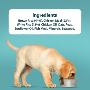A yellow Labrador puppy eats from a metal bowl with ingredients listed above: Brown Rice, Chicken Meal, Oats, Peas, and more.