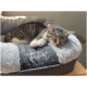 Eine schlafende getigerte Katze, die sich auf einem weichen, grauen Haustierbett mit einem plüschigen, hellgrauen Rand zusammenrollt, mit dem Text "TrendPet" auf der Seite gestickt.