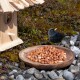 Ein schwarzer Vogel steht neben einem Holzvogelhaus und pickt an einem Teller mit Erdnüssen auf einer felsigen Oberfläche, umgeben von Grün.