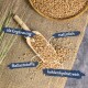 Holzlöffel gefüllt mit Körnern auf Jute, mit Textetiketten: "als Ergänzung", "natürlich", "Ballaststoffe", "kohlenhydratreich."