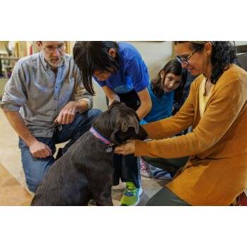 Ein brauner Hund mit einem blauen und roten Halsband wird sanft von einer Frau in einem orangefarbenen Pullover und einem Kind in einem blauen Shirt gestreichelt.