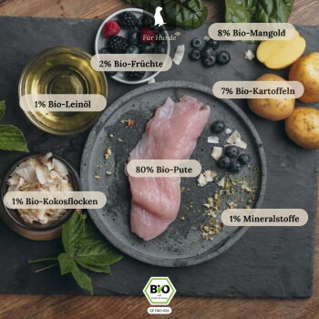 Rohes Putenfleisch (80% Bio-Pute) auf einem Teller mit Kartoffeln, Beeren und Öl; deutsche Kennzeichnungen 'Für Hunde' und BIO-Logo.