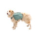 Ein flauschiger Hund mit einem hellen türkisfarbenen Rucksack, der ein stilvolles und funktionales Design für Reisen mit Haustieren zeigt.