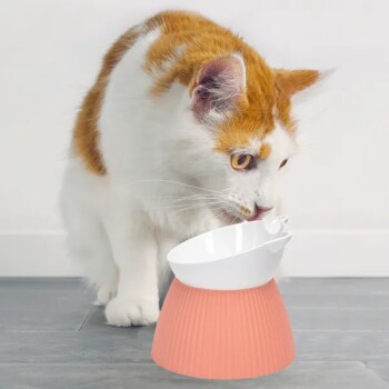 Eine neugierige orange-weiße Katze lehnt sich zu einer modernen pink-weißen Futterschüssel, die anscheinend daraus trinkt.