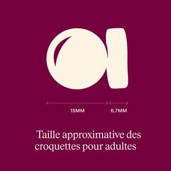 Graphique de deux formes de croquettes avec des flèches étiquetées 15MM et 6,7MM au-dessus du texte 'Taille approximative des croquettes pour adultes'.