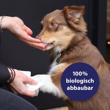 Ein brauner Hund, dem die Pfote abgewischt wird, während er eine Hand leckt; blaues rundes Emblem mit der Aufschrift "100% biologisch abbaubar".