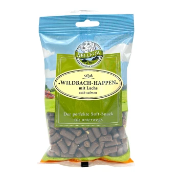 Durchsichtige Plastiktüte mit Haustierleckereien, beschriftet mit "WILDBACH-HAPPEN mit Lachs" mit Lachs, grünem Hintergrund und "Der perfekte Soft-Snack für unterwegs."