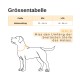 TRDSMN Hundehalsband