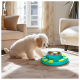 Ein kleiner weißer Hund nähert sich neugierig einer bunten interaktiven Fressschüssel, die mit Trockenfutter gefüllt ist, auf einem hellen Teppich in einem hellen Wohnzimmer.