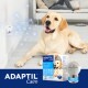 Ein ruhiger gelber Labrador Retriever liegt auf dem Boden neben einem ADAPTIL Calm Diffusor und Verpackungen, die die Entspannung von Haustieren fördern.