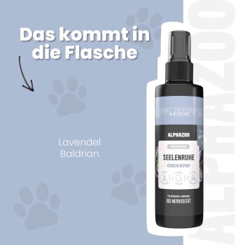 ALPHAZOO Care Kräuterspray für Hunde mit beruhigendem Lavendel. Umweltfreundlich, stressfreier Gebrauch, geeignet für alle Rassen.