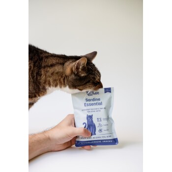 Getigerte Katze schnüffelt an einer handlichen Tüte mit der Aufschrift 'Sardine Essential' und dem Text 'Snack gut. Tu Gutes. Fühl dich gut.'
