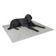 Un chien noir allongé sur un tapis pour animaux de compagnie gris doux, montrant confort et détente.